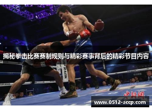 揭秘拳击比赛赛制规则与精彩赛事背后的精彩节目内容