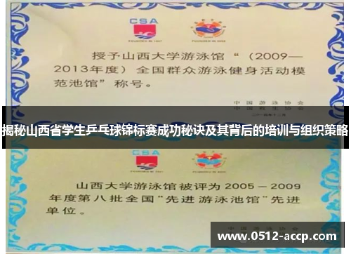 揭秘山西省学生乒乓球锦标赛成功秘诀及其背后的培训与组织策略
