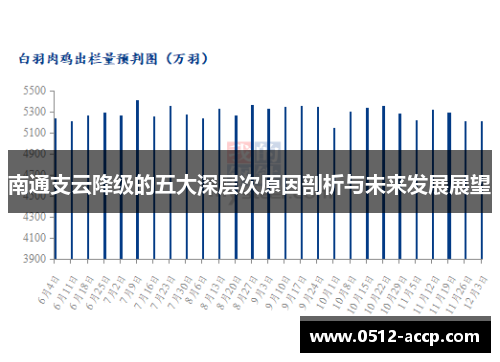南通支云降级的五大深层次原因剖析与未来发展展望