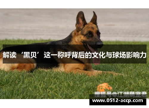 解读‘黑贝’这一称呼背后的文化与球场影响力