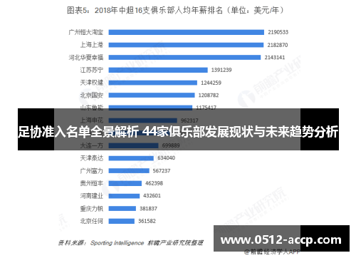 足协准入名单全景解析 44家俱乐部发展现状与未来趋势分析