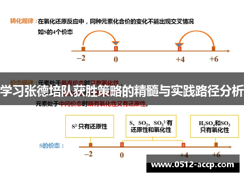 学习张德培队获胜策略的精髓与实践路径分析